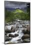 River in Royal Natal National Park-Jon Hicks-Mounted Photographic Print