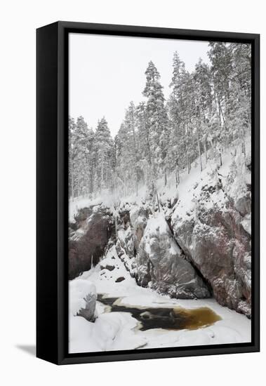 River in Snowy Forest at Winter-Risto0-Framed Stretched Canvas