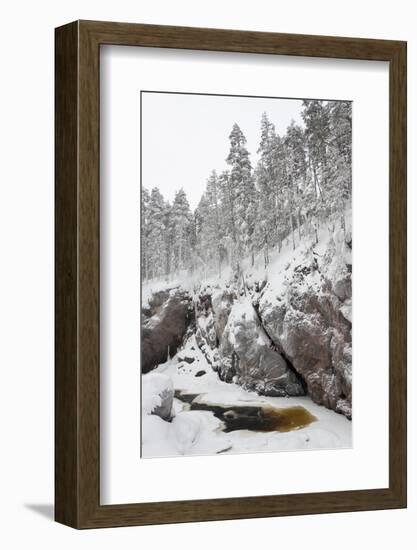 River in Snowy Forest at Winter-Risto0-Framed Photographic Print