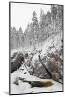 River in Snowy Forest at Winter-Risto0-Mounted Photographic Print