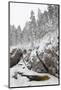 River in Snowy Forest at Winter-Risto0-Mounted Photographic Print