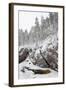 River in Snowy Forest at Winter-Risto0-Framed Photographic Print