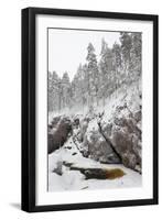 River in Snowy Forest at Winter-Risto0-Framed Photographic Print