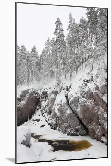 River in Snowy Forest at Winter-Risto0-Mounted Photographic Print