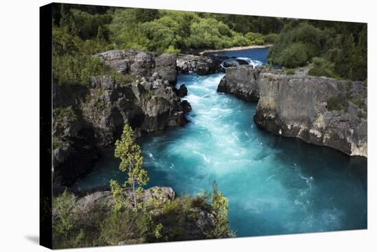 River in the Andes, Patagonia, Chile-Peter Groenendijk-Stretched Canvas