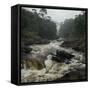 River in the Forest in National Park of Ranomafana, Madagascar-Dudarev Mikhail-Framed Stretched Canvas