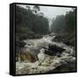 River in the Forest in National Park of Ranomafana, Madagascar-Dudarev Mikhail-Framed Stretched Canvas