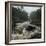 River in the Forest in National Park of Ranomafana, Madagascar-Dudarev Mikhail-Framed Photographic Print