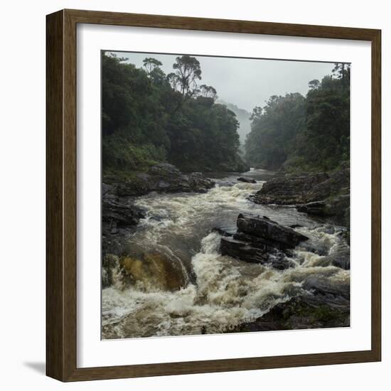 River in the Forest in National Park of Ranomafana, Madagascar-Dudarev Mikhail-Framed Photographic Print