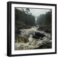 River in the Forest in National Park of Ranomafana, Madagascar-Dudarev Mikhail-Framed Photographic Print