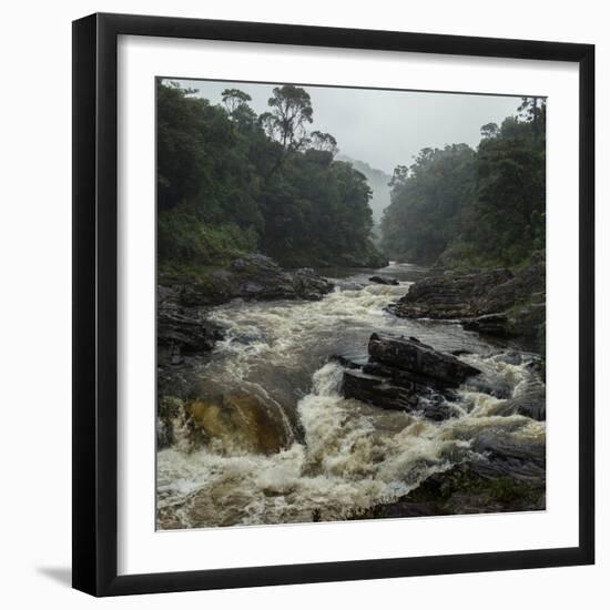 River in the Forest in National Park of Ranomafana, Madagascar-Dudarev Mikhail-Framed Photographic Print