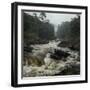 River in the Forest in National Park of Ranomafana, Madagascar-Dudarev Mikhail-Framed Photographic Print