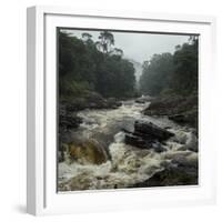 River in the Forest in National Park of Ranomafana, Madagascar-Dudarev Mikhail-Framed Photographic Print