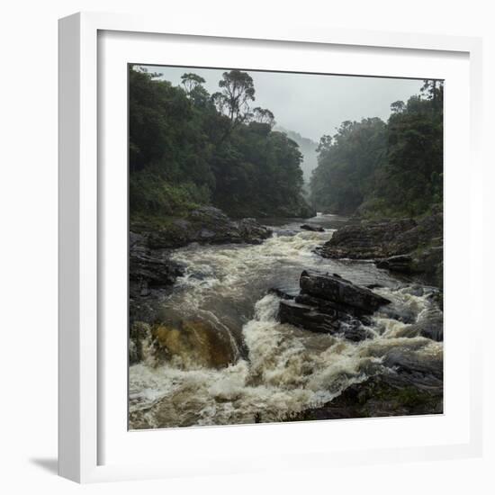 River in the Forest in National Park of Ranomafana, Madagascar-Dudarev Mikhail-Framed Photographic Print