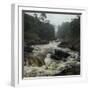 River in the Forest in National Park of Ranomafana, Madagascar-Dudarev Mikhail-Framed Photographic Print