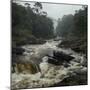 River in the Forest in National Park of Ranomafana, Madagascar-Dudarev Mikhail-Mounted Photographic Print