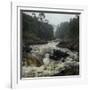 River in the Forest in National Park of Ranomafana, Madagascar-Dudarev Mikhail-Framed Photographic Print