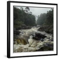 River in the Forest in National Park of Ranomafana, Madagascar-Dudarev Mikhail-Framed Photographic Print