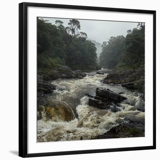 River in the Forest in National Park of Ranomafana, Madagascar-Dudarev Mikhail-Framed Photographic Print