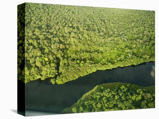 River in Tortuguero National Park, Costa Rica, Central America-R H Productions-Stretched Canvas