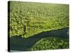 River in Tortuguero National Park, Costa Rica, Central America-R H Productions-Stretched Canvas