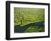 River in Tortuguero National Park, Costa Rica, Central America-R H Productions-Framed Photographic Print