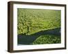 River in Tortuguero National Park, Costa Rica, Central America-R H Productions-Framed Photographic Print