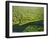 River in Tortuguero National Park, Costa Rica, Central America-R H Productions-Framed Photographic Print