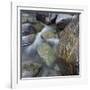 River in Verzasca Valley-Micha Pawlitzki-Framed Photographic Print