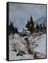 River in winter-Pol Ledent-Framed Stretched Canvas