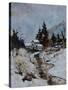 River in winter-Pol Ledent-Stretched Canvas