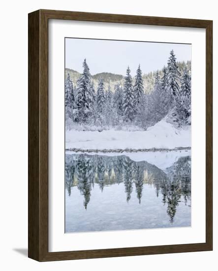 River Isar near Sylvenstein Reservoir close to village in the Karwendel, Germany-Martin Zwick-Framed Photographic Print