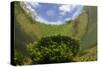 River Itchen, Aquatic Plants Reflected, Blunt-Fruited Water-Starwort, Ovington, Hampshire, England-Linda Pitkin-Stretched Canvas