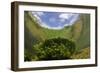 River Itchen, Aquatic Plants Reflected, Blunt-Fruited Water-Starwort, Ovington, Hampshire, England-Linda Pitkin-Framed Photographic Print