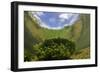 River Itchen, Aquatic Plants Reflected, Blunt-Fruited Water-Starwort, Ovington, Hampshire, England-Linda Pitkin-Framed Photographic Print