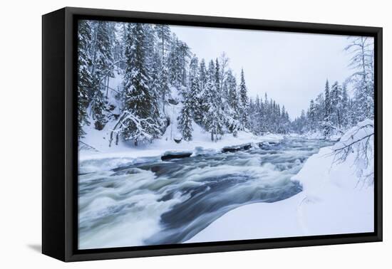 River, Juuma, Oulankajoki National Park, Kuusamo, Finland-Peter Adams-Framed Stretched Canvas