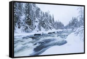 River, Juuma, Oulankajoki National Park, Kuusamo, Finland-Peter Adams-Framed Stretched Canvas