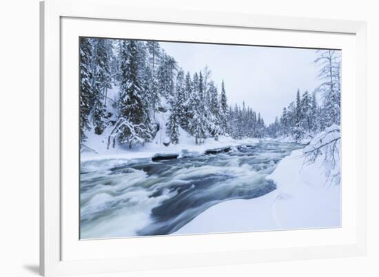 River, Juuma, Oulankajoki National Park, Kuusamo, Finland-Peter Adams-Framed Photographic Print
