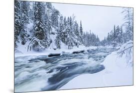 River, Juuma, Oulankajoki National Park, Kuusamo, Finland-Peter Adams-Mounted Photographic Print