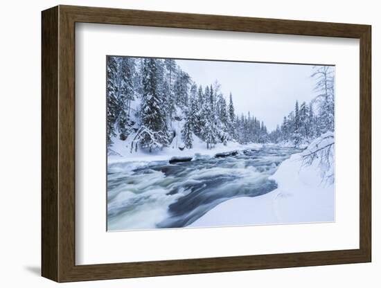 River, Juuma, Oulankajoki National Park, Kuusamo, Finland-Peter Adams-Framed Photographic Print