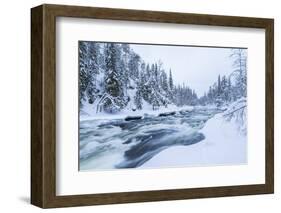 River, Juuma, Oulankajoki National Park, Kuusamo, Finland-Peter Adams-Framed Photographic Print