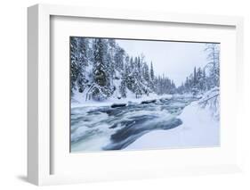 River, Juuma, Oulankajoki National Park, Kuusamo, Finland-Peter Adams-Framed Photographic Print