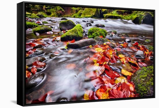 River Kamenice in Autumn with Long Exposure, Bohemian Switzerland, Czech Republic-Nataliya Hora-Framed Stretched Canvas