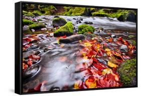 River Kamenice in Autumn with Long Exposure, Bohemian Switzerland, Czech Republic-Nataliya Hora-Framed Stretched Canvas