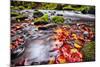 River Kamenice in Autumn with Long Exposure, Bohemian Switzerland, Czech Republic-Nataliya Hora-Mounted Photographic Print