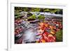 River Kamenice in Autumn with Long Exposure, Bohemian Switzerland, Czech Republic-Nataliya Hora-Framed Photographic Print