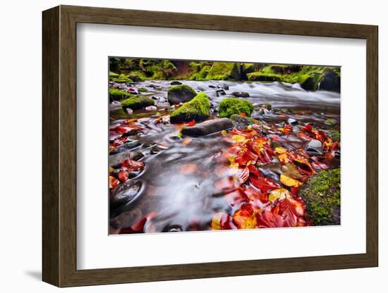 River Kamenice in Autumn with Long Exposure, Bohemian Switzerland, Czech Republic-Nataliya Hora-Framed Photographic Print