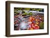 River Kamenice in Autumn with Long Exposure, Bohemian Switzerland, Czech Republic-Nataliya Hora-Framed Photographic Print