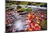 River Kamenice in Autumn with Long Exposure, Bohemian Switzerland, Czech Republic-Nataliya Hora-Mounted Photographic Print