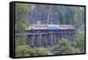 River Kwai Train Crossing the Wampoo Viaduct on the Death Railway Above the River Kwai Valley-Alex Robinson-Framed Stretched Canvas